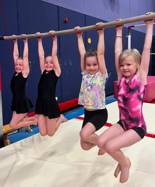 Image of Gymnastics Timetable sub-activity