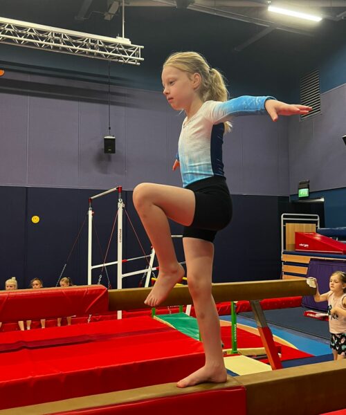 Image of Advanced Gymnastics sub-activity