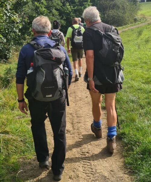 Image of Walk Group sub-activity