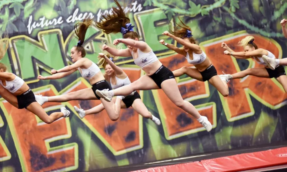 Image of 3491Jungle Fever Competition project