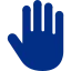 palm